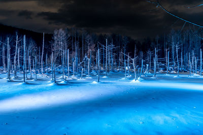 Frozen trees on land against blue sky