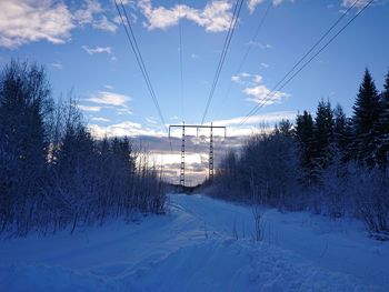 Snow covered land and trees against sky