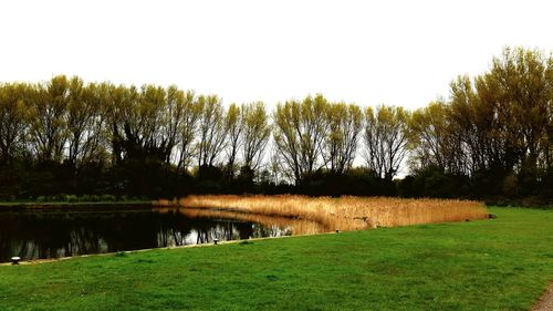 Scenic view of lake and trees