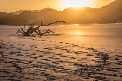 Scenic view of sea against sky during sunset