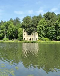 Water reflection. 