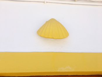 Close-up yellow leaf