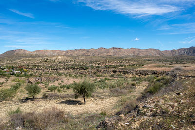 Scenic view of landscape against sky