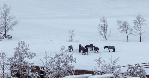 Group of people on snow covered field