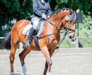 Man riding horse