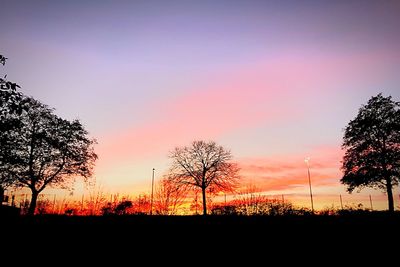 Silhouette trees on landscape against sky at sunset