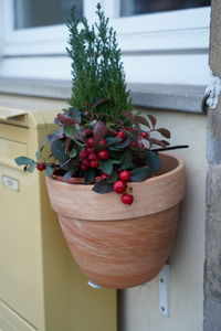 Plant pot hung on a mail box