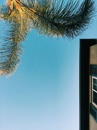 Low angle view of trees against clear blue sky