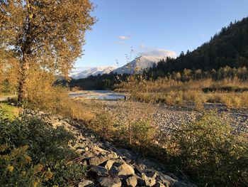 Scenic view of lake against sky during autumn