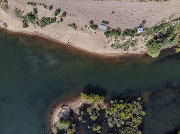 High angle view of trees by lake