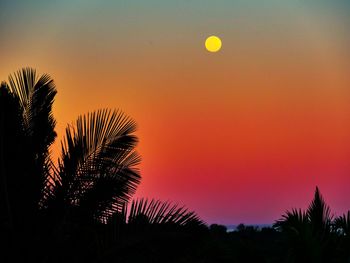 Silhouette palm tree against romantic sky at sunset