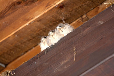 Full frame shot of weathered wall