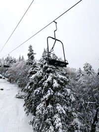 Low angle view of trees against sky during winter