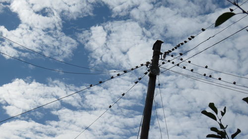 Low angle view of birds perching on cable against cloudy sky