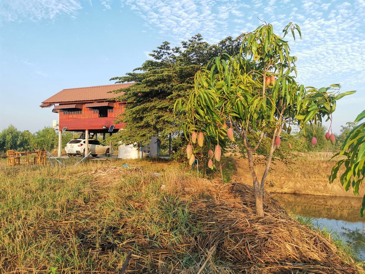 Little house in the bamboo forest