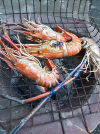 High angle view of meat on barbecue grill