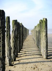 Wooden posts on beach against sky