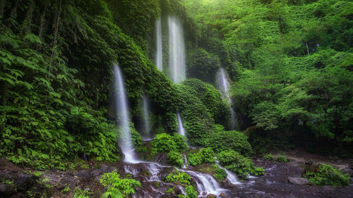 Scenic view of waterfall in forest