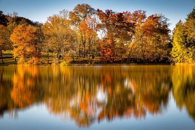 Reflection of trees in lake during autumn