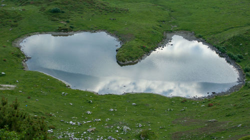 High angle view of lake amidst green landscape