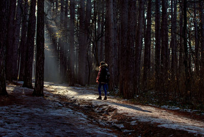 Rear view of man standing by trees in forest