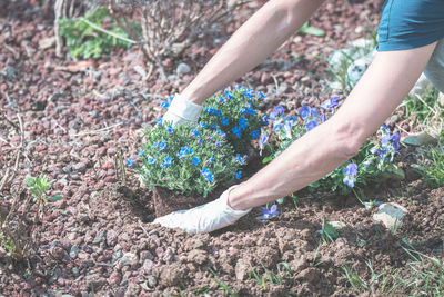 Woman working in garden