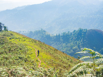 Trekking solo backpack on mountain trail in tropical forest at tak province, thailand.