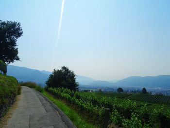 Empty road along plants and trees against sky