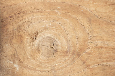 Full frame shot of wooden floor