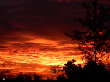 Silhouette trees against dramatic sky during sunset