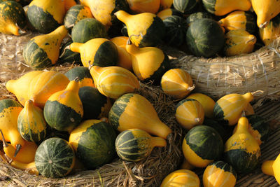 Full frame shot of pumpkins for sale at market