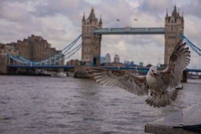 View of bridge over river against cloudy sky