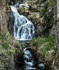 Scenic view of waterfall in forest