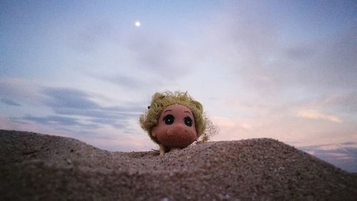 Portrait of stuffed toy on land against sky