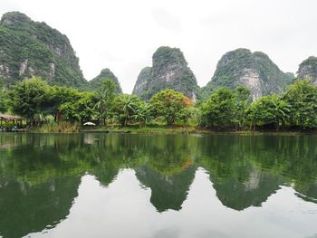 Reflection of trees in lake