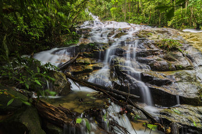 Scenic view of waterfall in forest