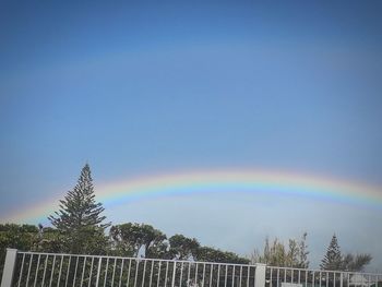 Rainbow over trees against blue sky