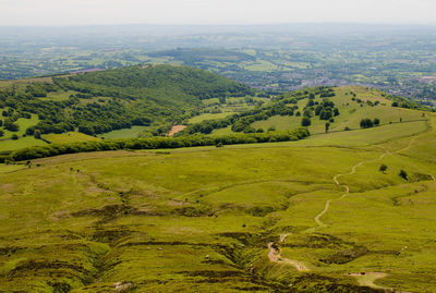 Scenic view of green landscape