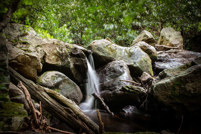 Scenic view of waterfall in forest