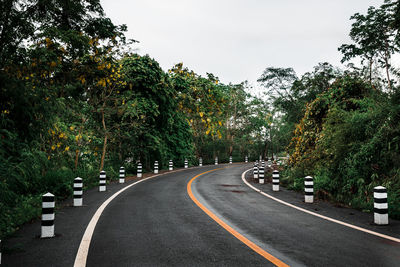 Empty road along trees and plants in city