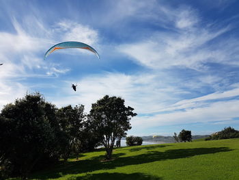 Kite flying over trees against sky