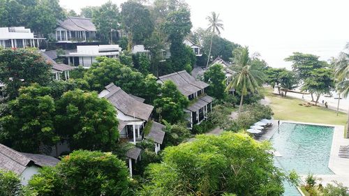 Houses and trees