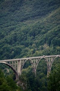 viaduct