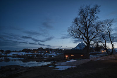 Bare trees by houses against sky during winter