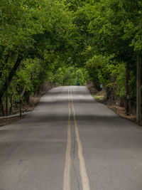 Road amidst trees