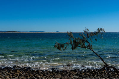 Scenic view of sea against clear blue sky