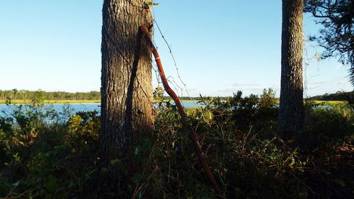 Wooden posts on field by lake against sky