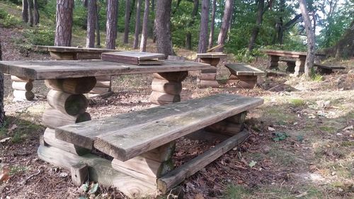 Old wooden logs on field in forest