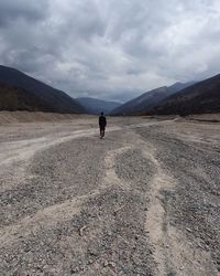 Rear view of person on landscape against sky