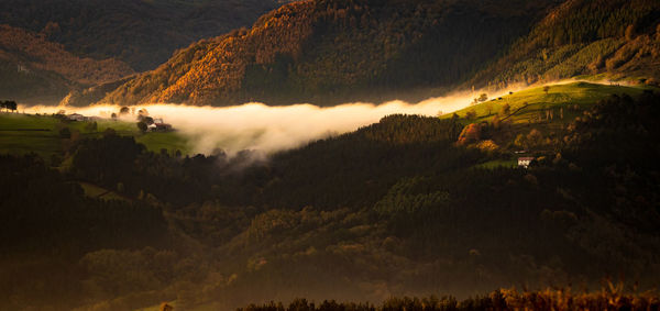 Fog in the mountains at sunrise